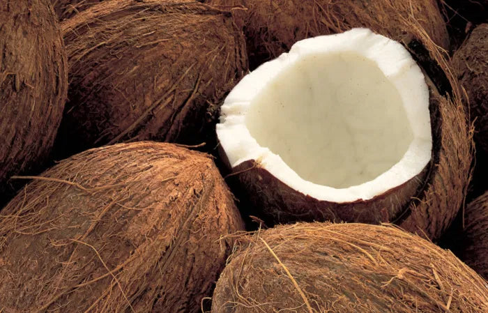 Fresh Organic Coconut (Coco) fresh Baazwsh 